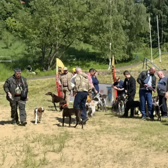 Построение заводчиков с собаками